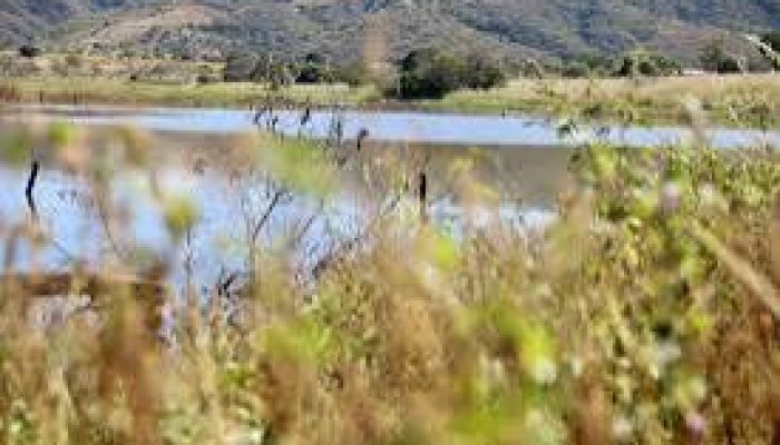 images (9)